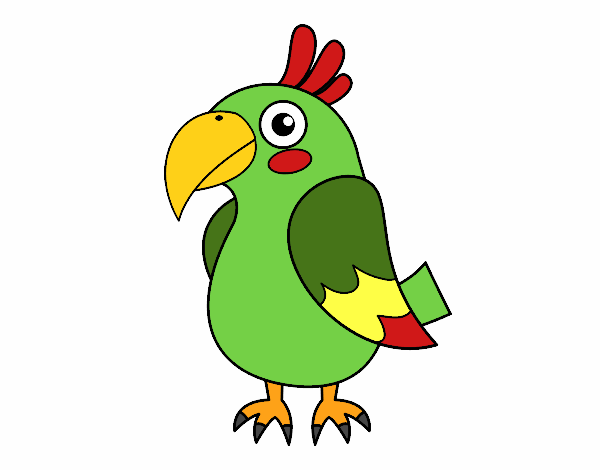 Papagaio tropical