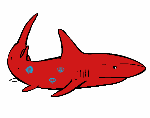 Um tubarão nadando