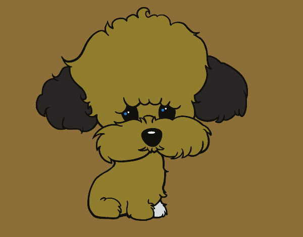 Desenho Cachorro de poodle pintado por zuleikapas