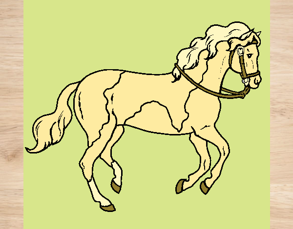 Desenho Cavalo 5 pintado por zuleikapas