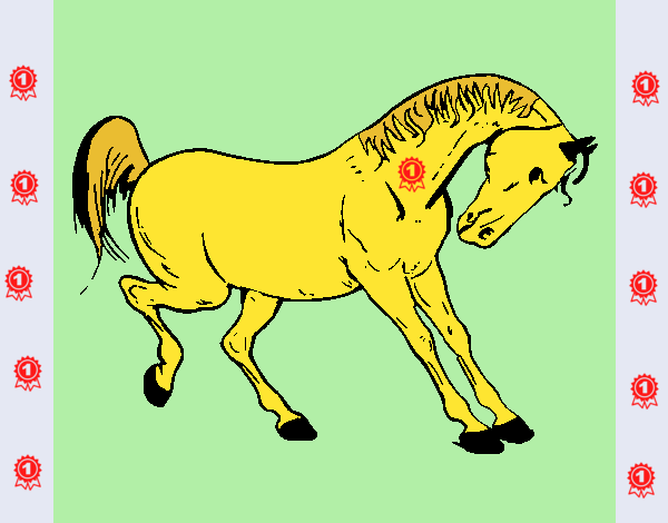 Desenho Cavalo a dançar pintado por zuleikapas