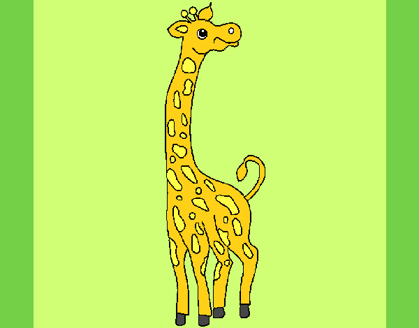 Desenho Girafa pintado por zuleikapas