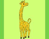 Desenho Girafa pintado por zuleikapas
