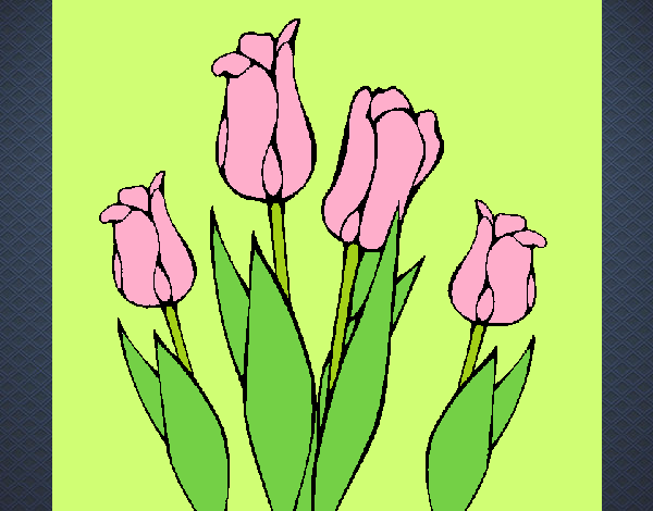 Desenho Tulipa pintado por zuleikapas