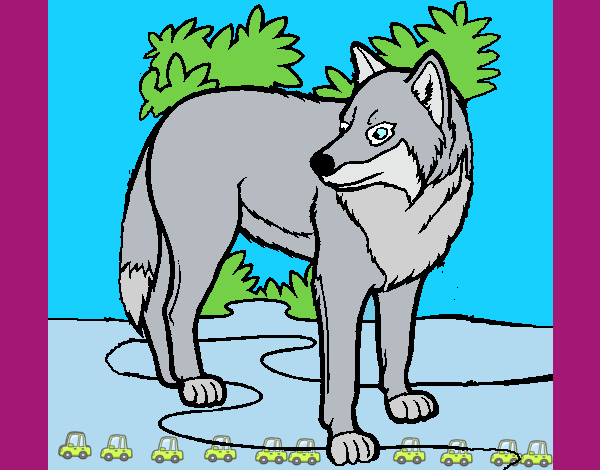Desenho Lobo pintado por zuleikapas