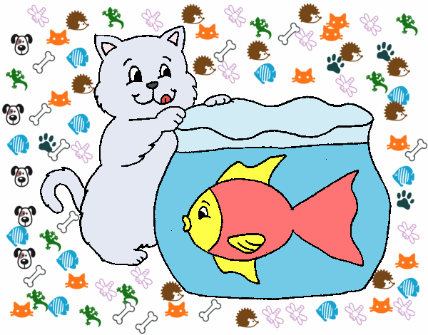 Desenho de Gato a olhar para o peixe para Colorir - Colorir.com