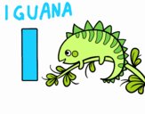 I de Iguana