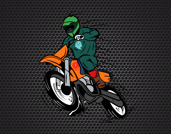 Desenho de Moto de Motocross pintado e colorido por Usuário não registrado  o dia 13 de Agosto do 2017