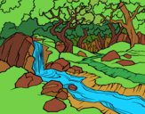 Desenho Paisagem da floresta com um rio pintado por tinhaana