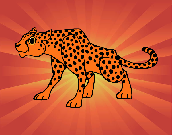 Desenho Um guepardo pintado por tinhaana
