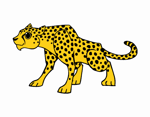 Desenho Um guepardo pintado por Thais2016