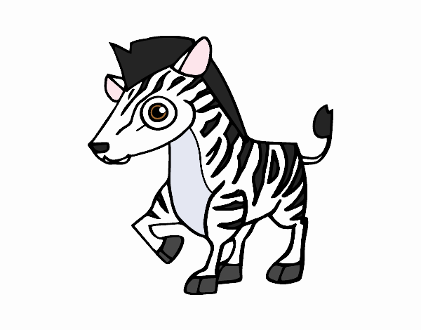 Desenho Zebra da montanha pintado por Thais2016