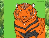 Desenho Tigre pintado por repelstelt