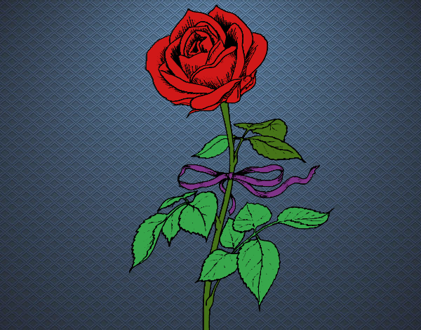 Desenho Uma rosa pintado por Luidy