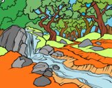 Desenho Paisagem da floresta com um rio pintado por Iria
