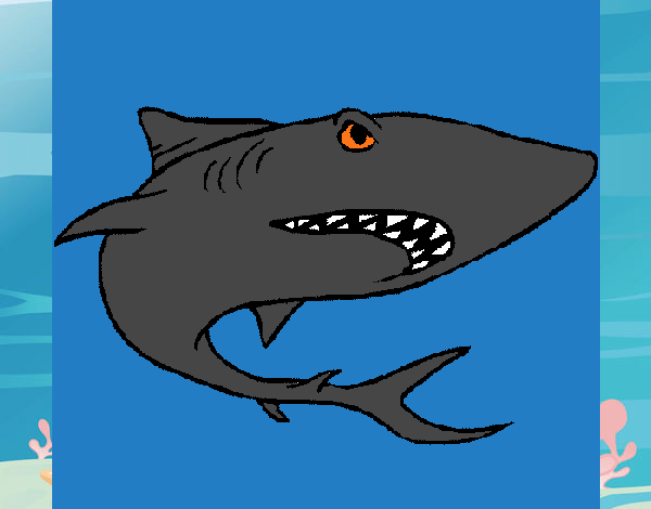 Desenho Tubarão pintado por repelstelt