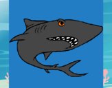Desenho Tubarão pintado por repelstelt