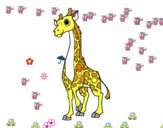 Girafa feminino