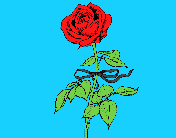 Desenho Uma rosa pintado por Steeh