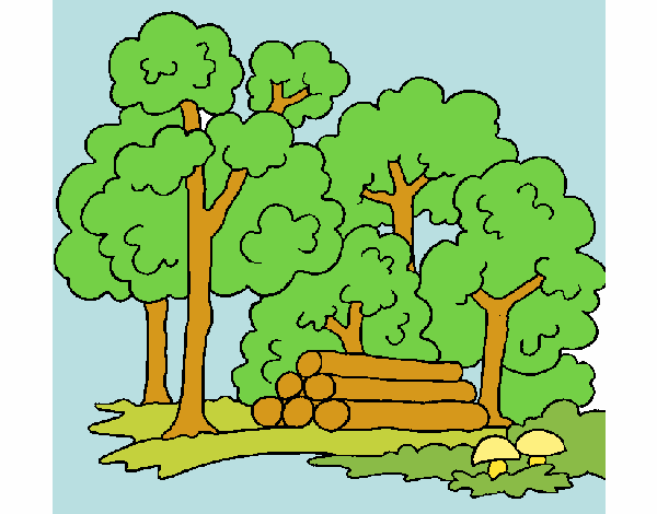 Desenho Bosque pintado por brebeca