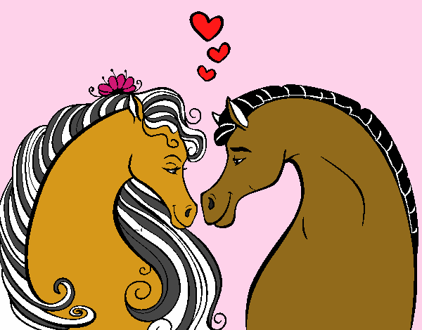 Cavalos apaixonados