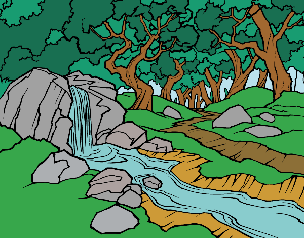 Paisagem da floresta com um rio