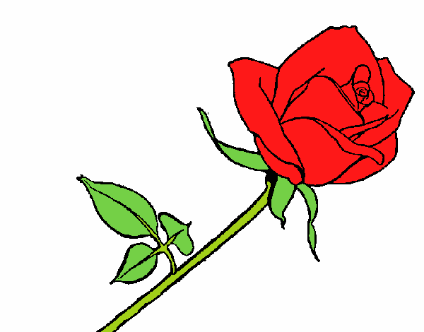 Desenho Rosa pintado por brebeca