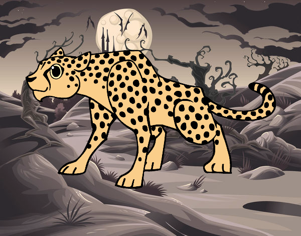Desenho Um guepardo pintado por Tersio
