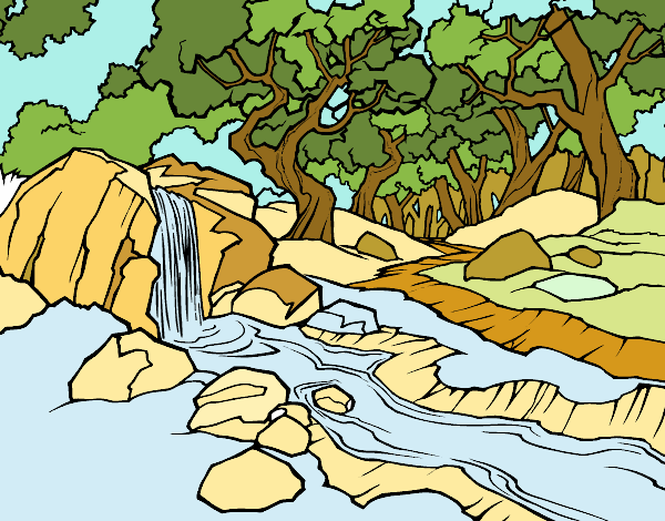Paisagem da floresta com um rio