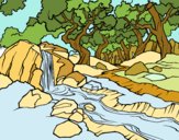 Desenho Paisagem da floresta com um rio pintado por janett