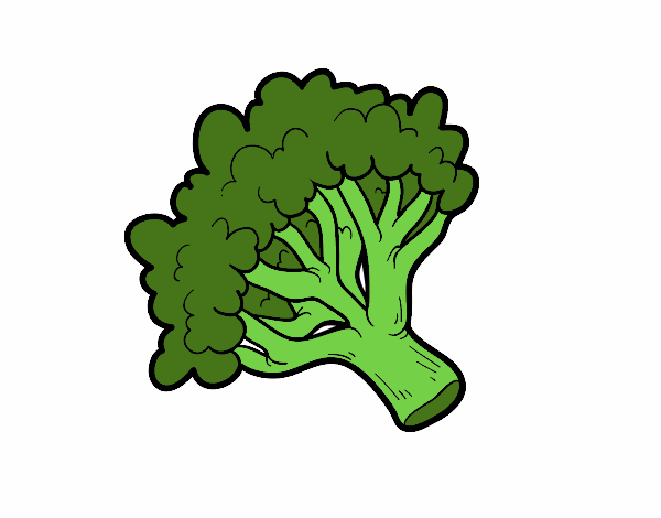 Desenho Ramo brócoli pintado por jualves