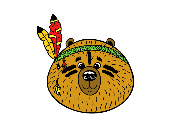 Urso índio