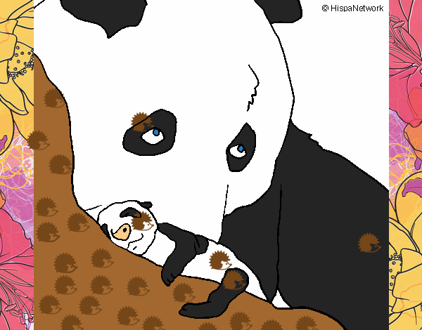 Urso panda com a sua cria
