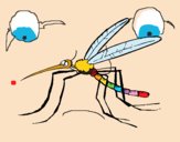 Desenho Mosquito pintado por jessica99