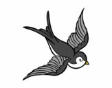 Desenho Tatuagem de pássaro pintado por EDINHO