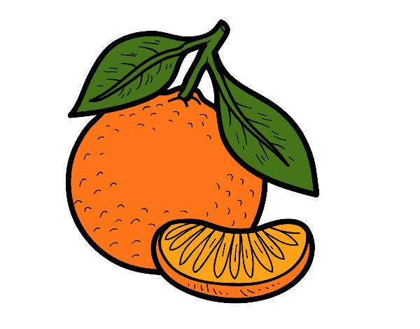 Desenho Uma tangerina pintado por angef