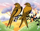 Desenho Par de pássaros pintado por ImShampoo