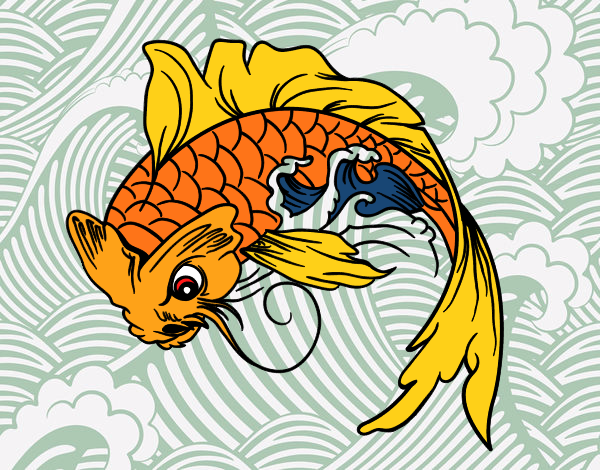 Peixe Koi