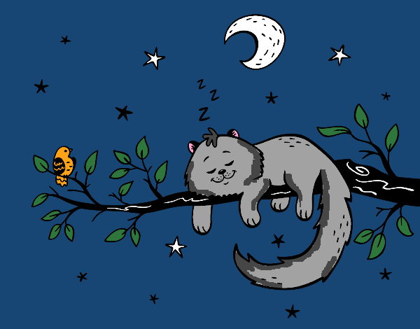 Desenho O gato ea luna pintado por MILHANI