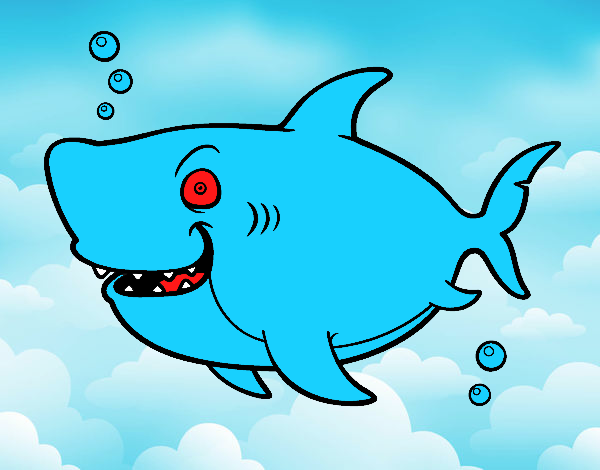 Tubarão-baleia