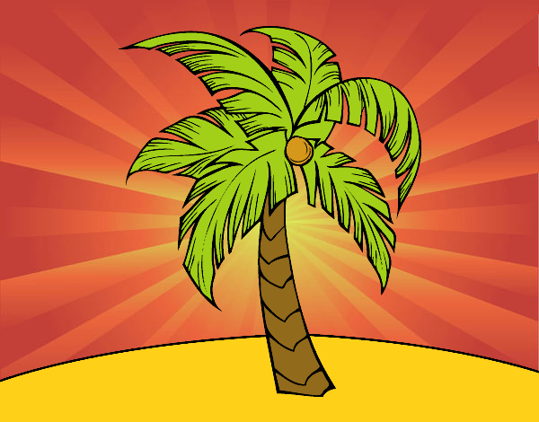 Uma palmeira
