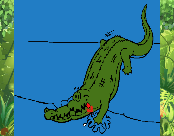 Crocodilo a entrar na água