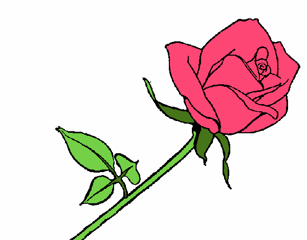 Desenho Rosa pintado por luism