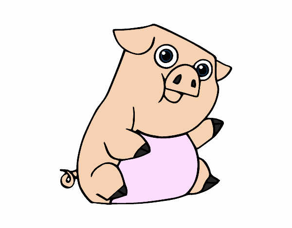 Un porco