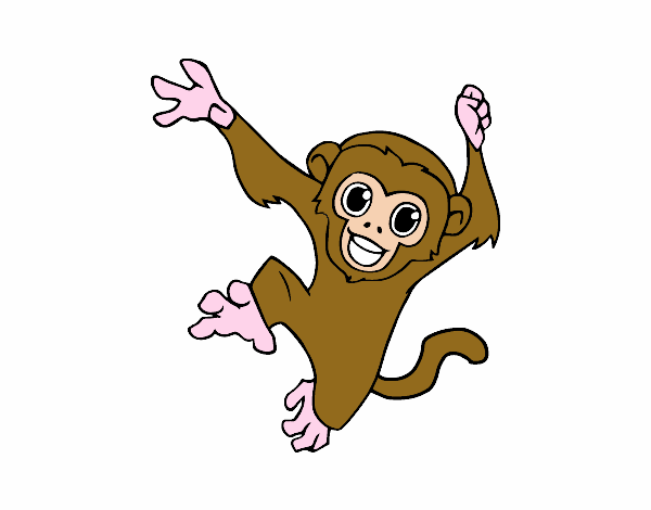 Resultado de imagem para macaco desenho facil