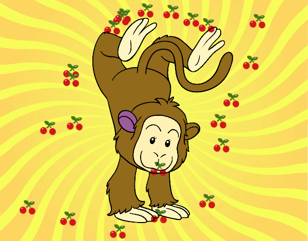 Desenho Equilibrista macaco pintado por Izabela6