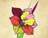 Desenho Flor de narciso pintado por jmario