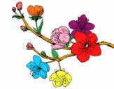 Desenho Filial da cereja pintado por thauis