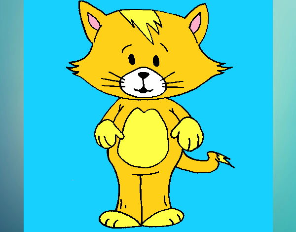 Desenho de Gato com franja pintado e colorido por Usuário não registrado o  dia 26 de Novembro do 2019