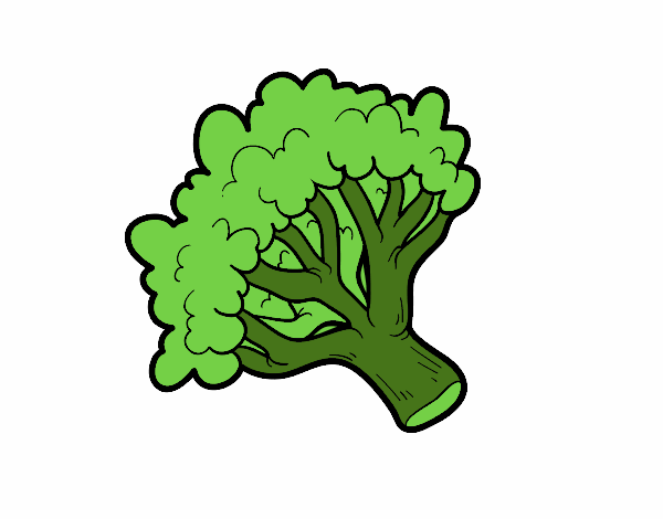 Ramo brócoli